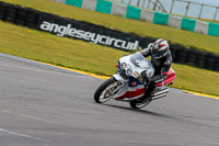 PJ-Motorsport-2019;anglesey-no-limits-trackday;anglesey-photographs;anglesey-trackday-photographs;enduro-digital-images;event-digital-images;eventdigitalimages;no-limits-trackdays;peter-wileman-photography;racing-digital-images;trac-mon;trackday-digital-images;trackday-photos;ty-croes